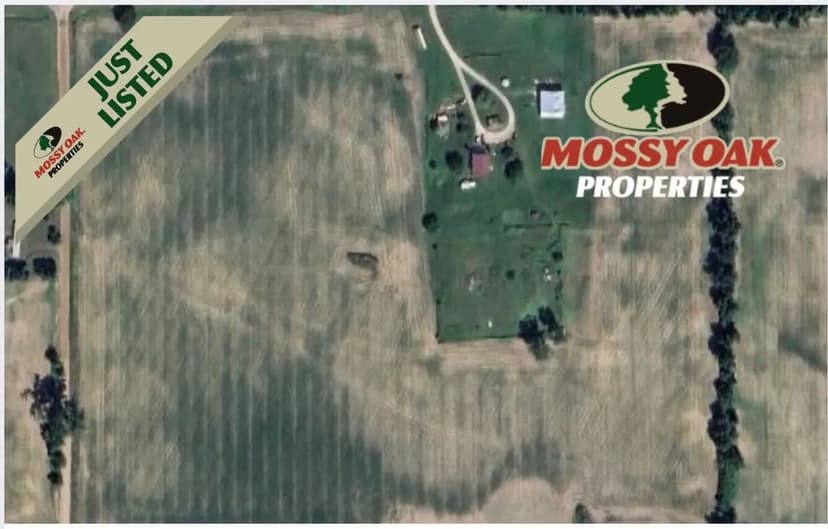 30 +/- Acres of Farmland in Hillsdale County, MI / Land For Sale