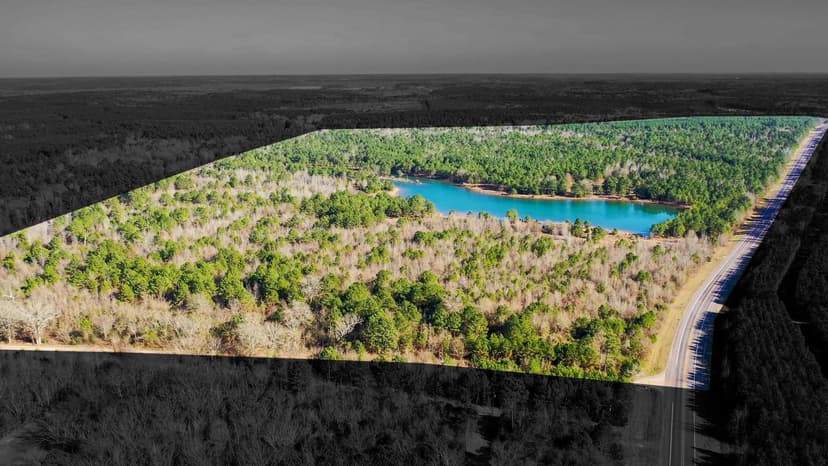 East Texas Recreational & Hunting Land with Lake