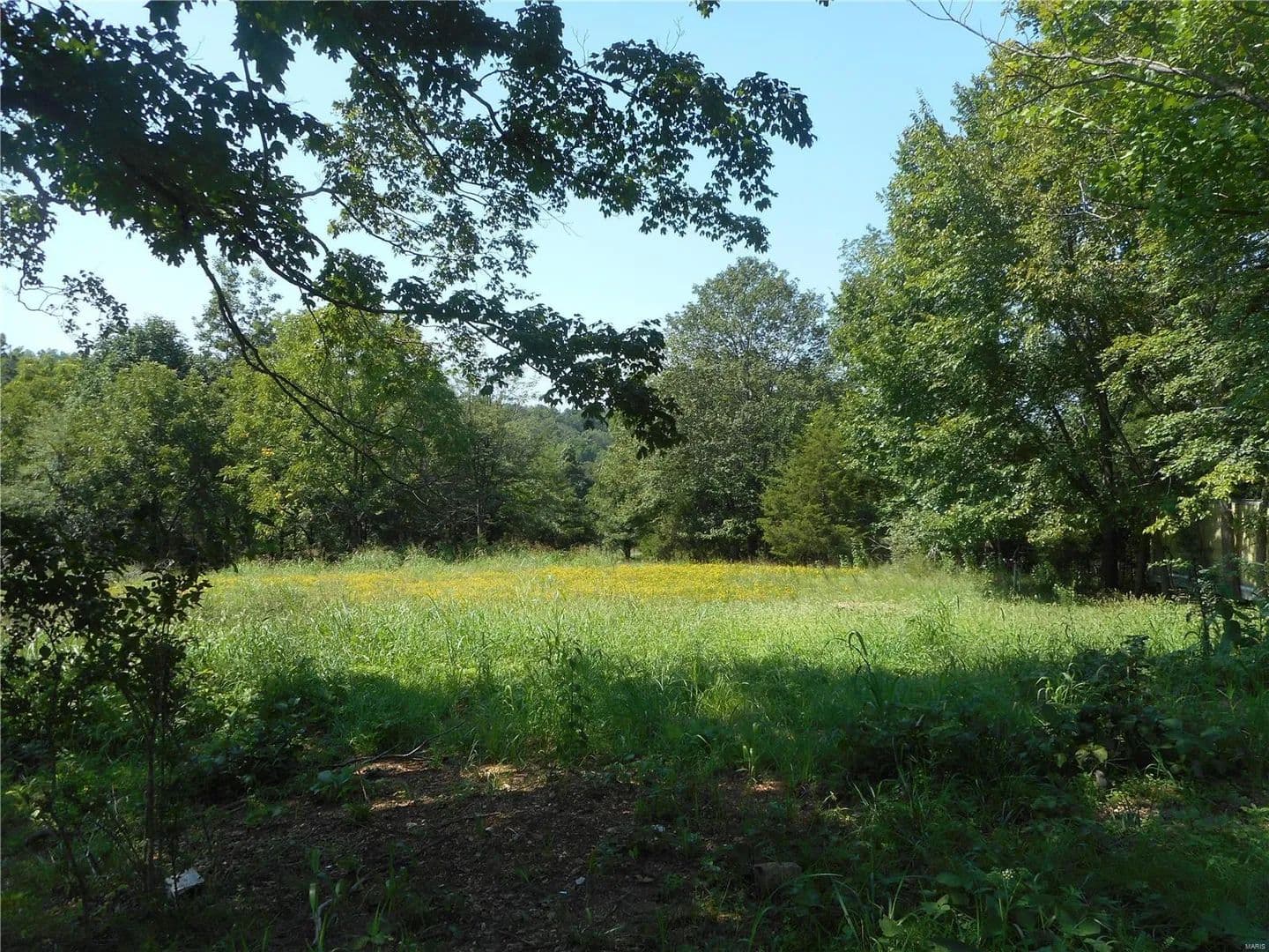 Vacant Land in Piedmont - Piedmont, Missouri, 63957