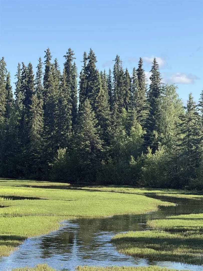 Lots & Land-Other in North Pole - North Pole, Alaska, 99705