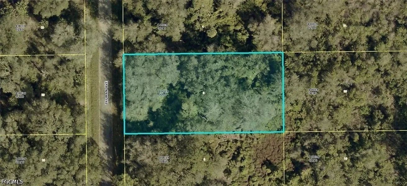 Lots & Land-Other in Lehigh Acres - Lehigh Acres, Florida, 33972