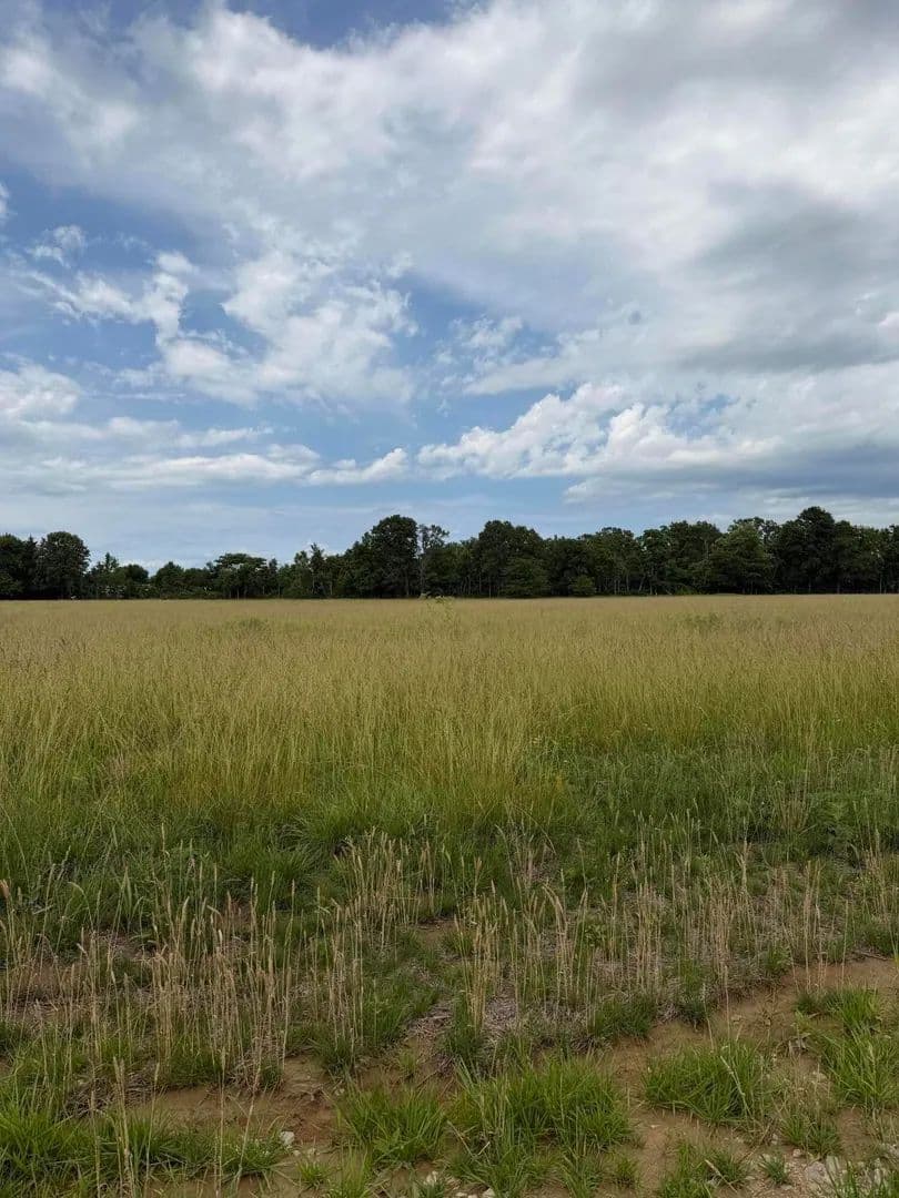 Property from Tract 8 Oak Lawn Road - KW - Seymour, Missouri, 65746