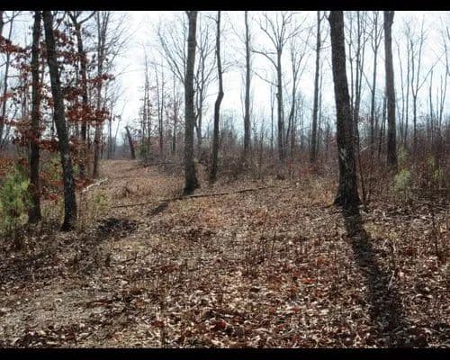 231 Acres 2.5 Miles Bluff