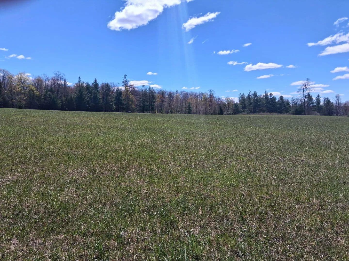 Property from V/L 64.97 N M-65 Highway - KW - Curran, Michigan, 48728