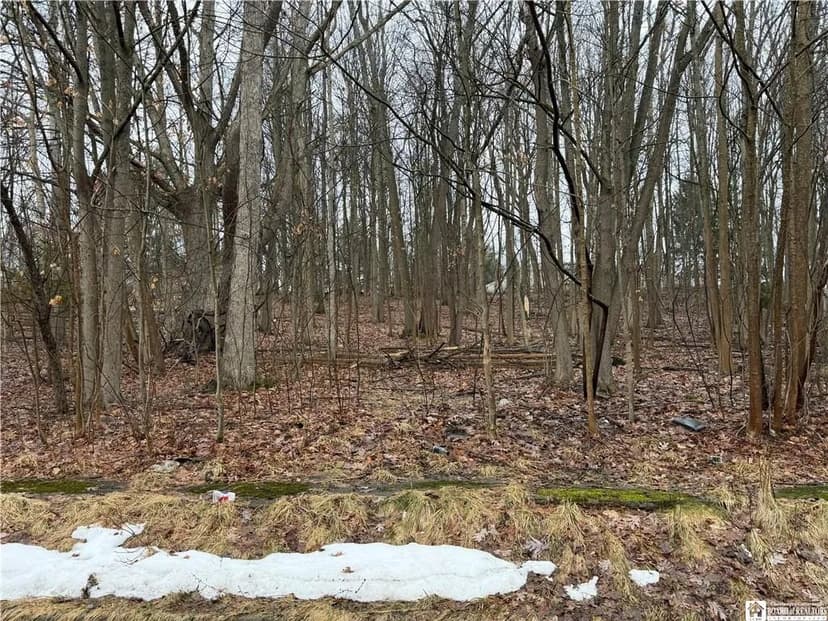 Lots & Land-Other in Jamestown