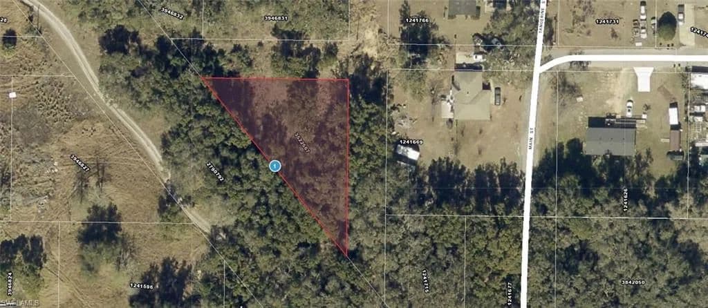 Vacant Land in Yalaha - Yalaha, Florida, 34797