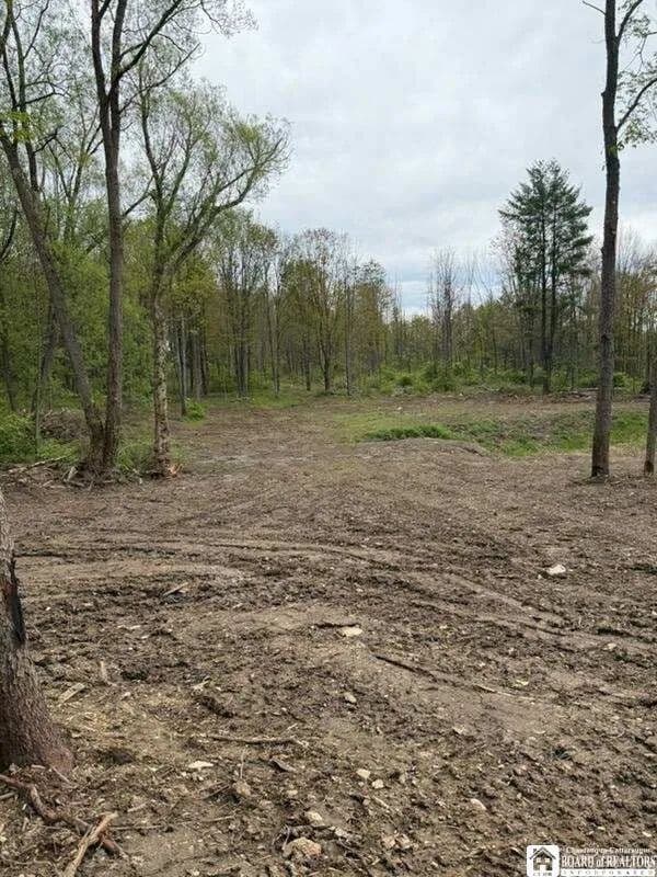 Lots & Land-Other in Jamestown - Jamestown, New York, 14701