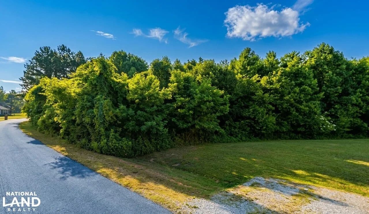 Waterfront Homesite - Rogersville, Alabama, 35652