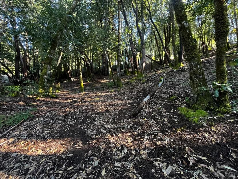 Lots & Land-Other in Willits