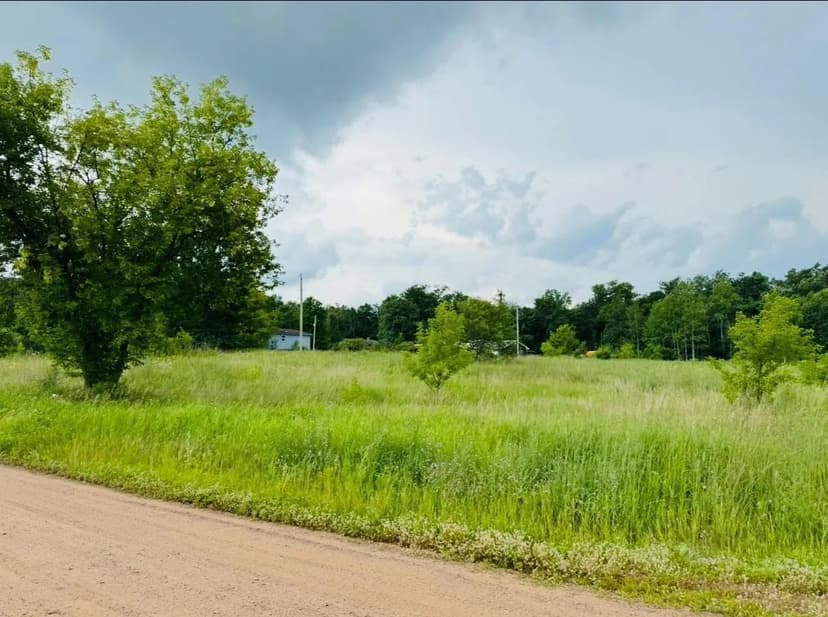 Vacant Land in Trommald