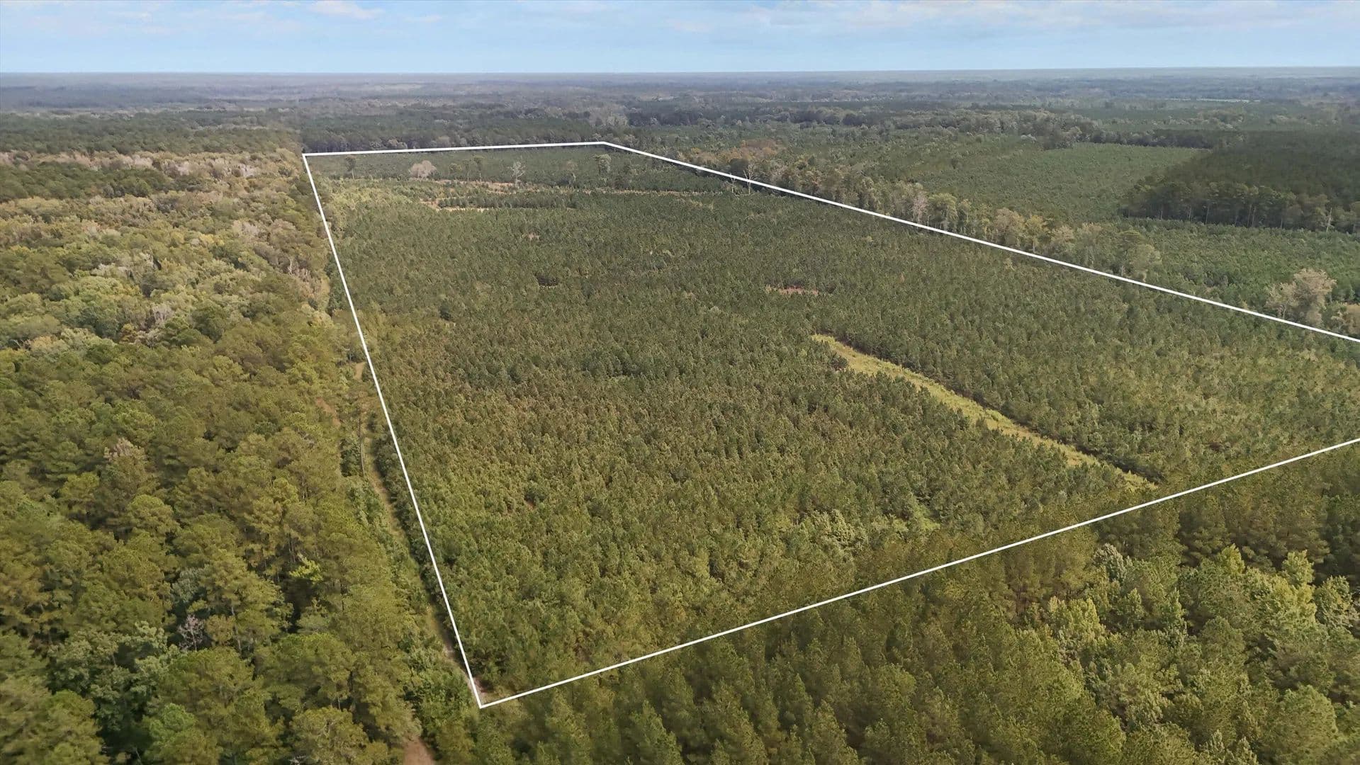 Lots & Land-Other in Smoaks - Smoaks, South Carolina, 29481