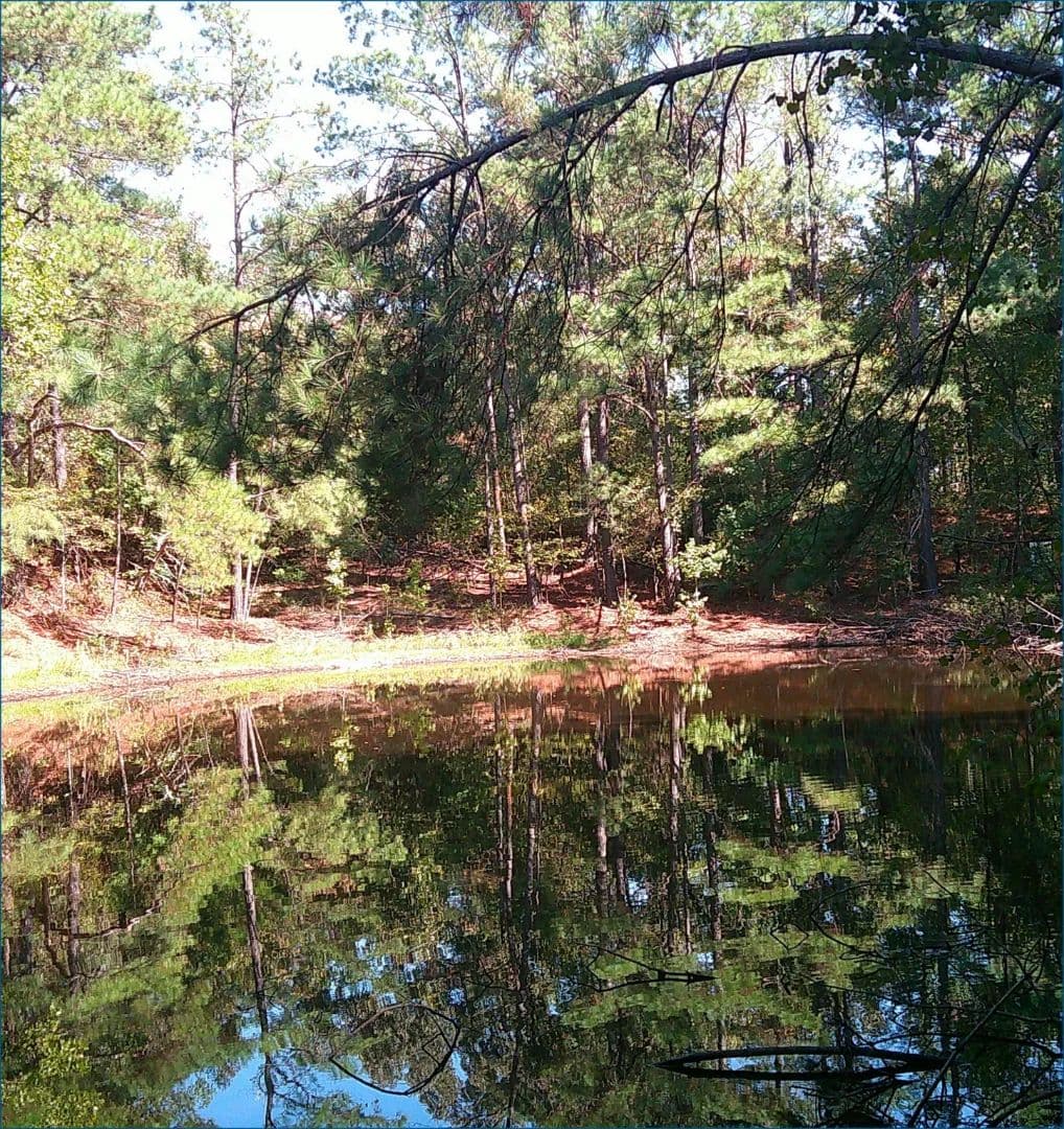 60 Acres in Panola County in Batesville, MS - Batesville, Mississippi, 38606
