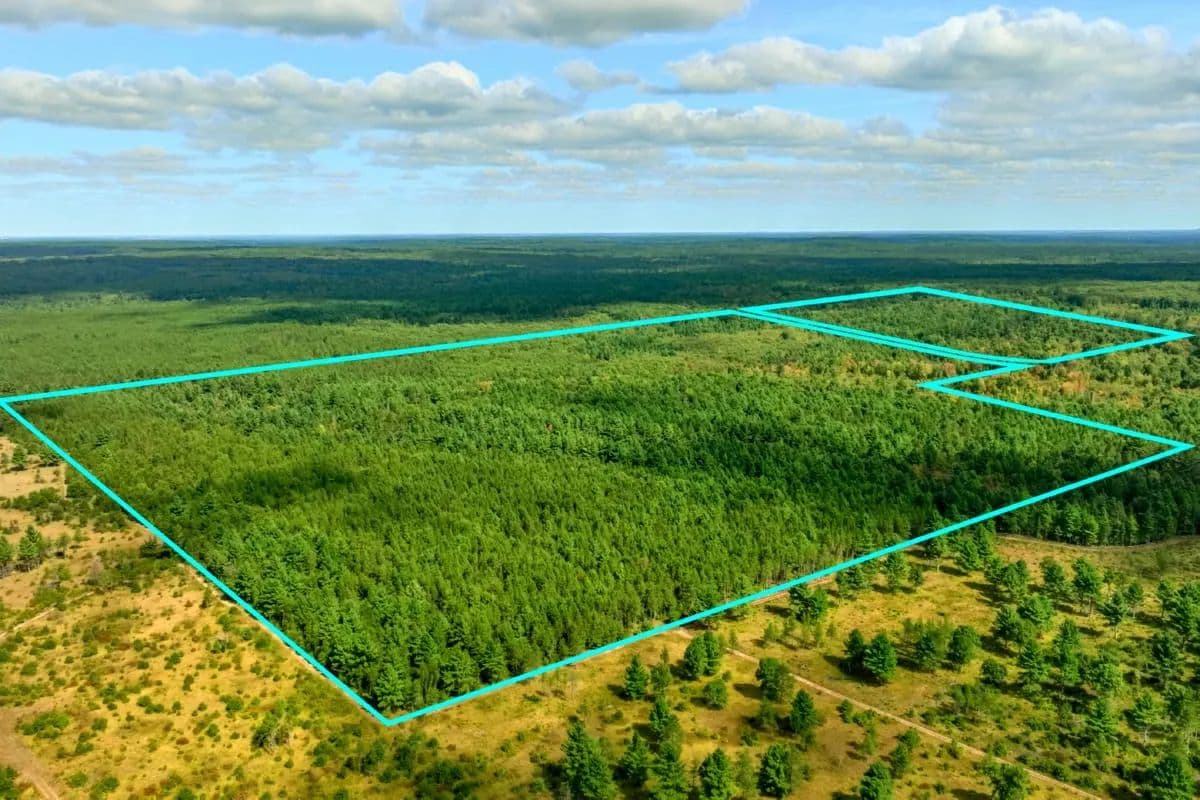 120± acres of heavily timbered hunting land in Eau Claire County - Augusta, Wisconsin, 54729