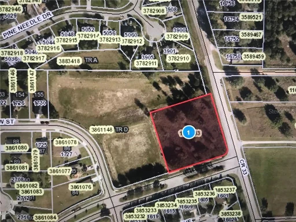 Lots & Land-Other in MASCOTTE - Mascotte, Florida, 34753