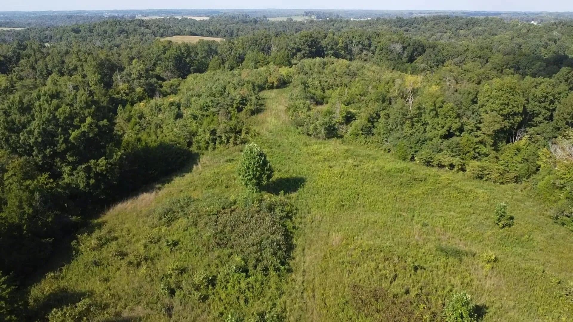 102.89 Acres of Land for Sale in Columbia, KY - Columbia, Kentucky, 42728