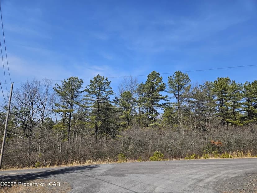 Lots & Land-Other in Hazle Twp