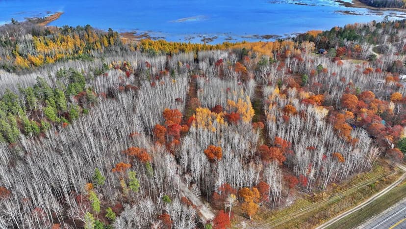 Property from TBD County 4 - Lot 10 - KW