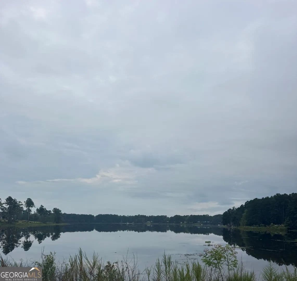 Vacant Land in Statesboro - Statesboro, Georgia, 30458