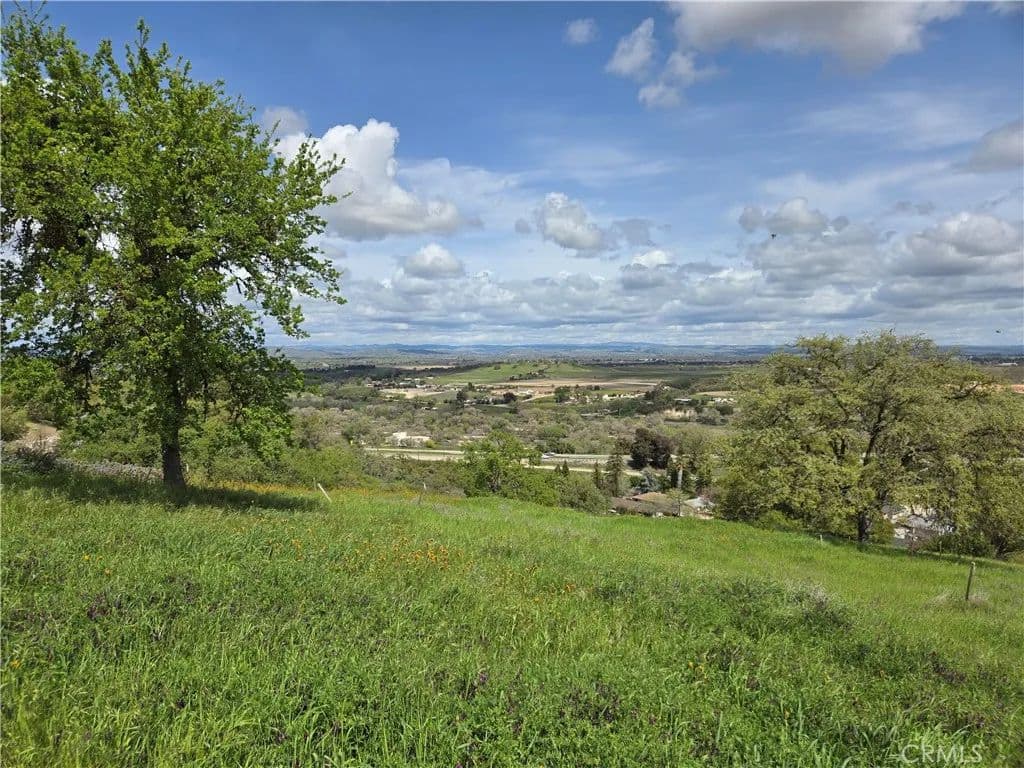 Vacant Land in Paso Robles - Paso Robles, California, 93446