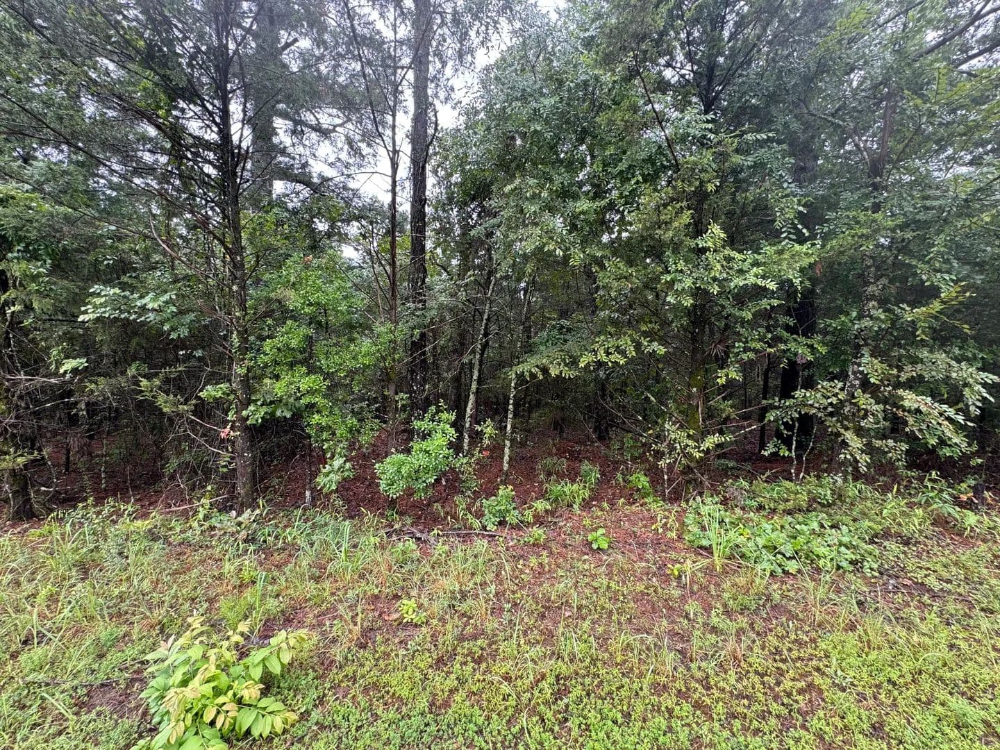 Land -Agricultural (Not Zoned) in Booneville - Booneville, Arkansas, 72927