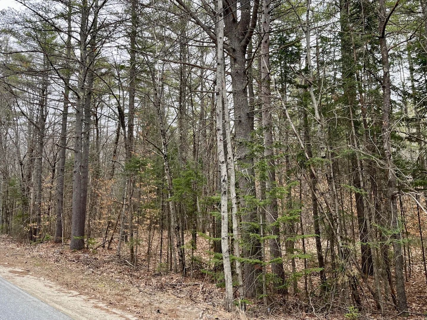 Vacant Land in Leeds - Leeds, Maine, 04263