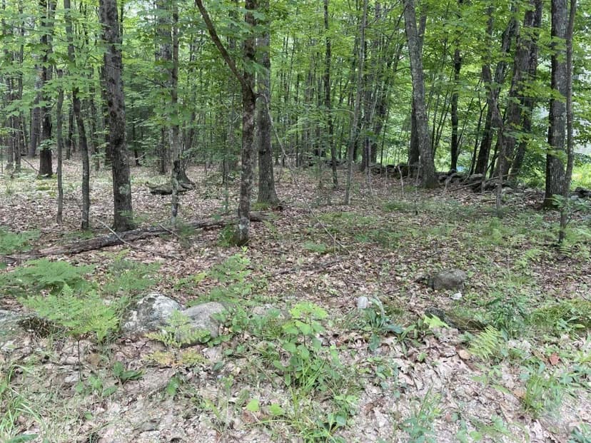 Vacant Land in Barnstead