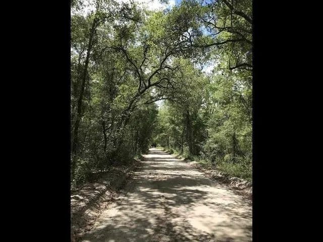 Lots & Land-Other in Crawfordville - Crawfordville, Florida, 32327