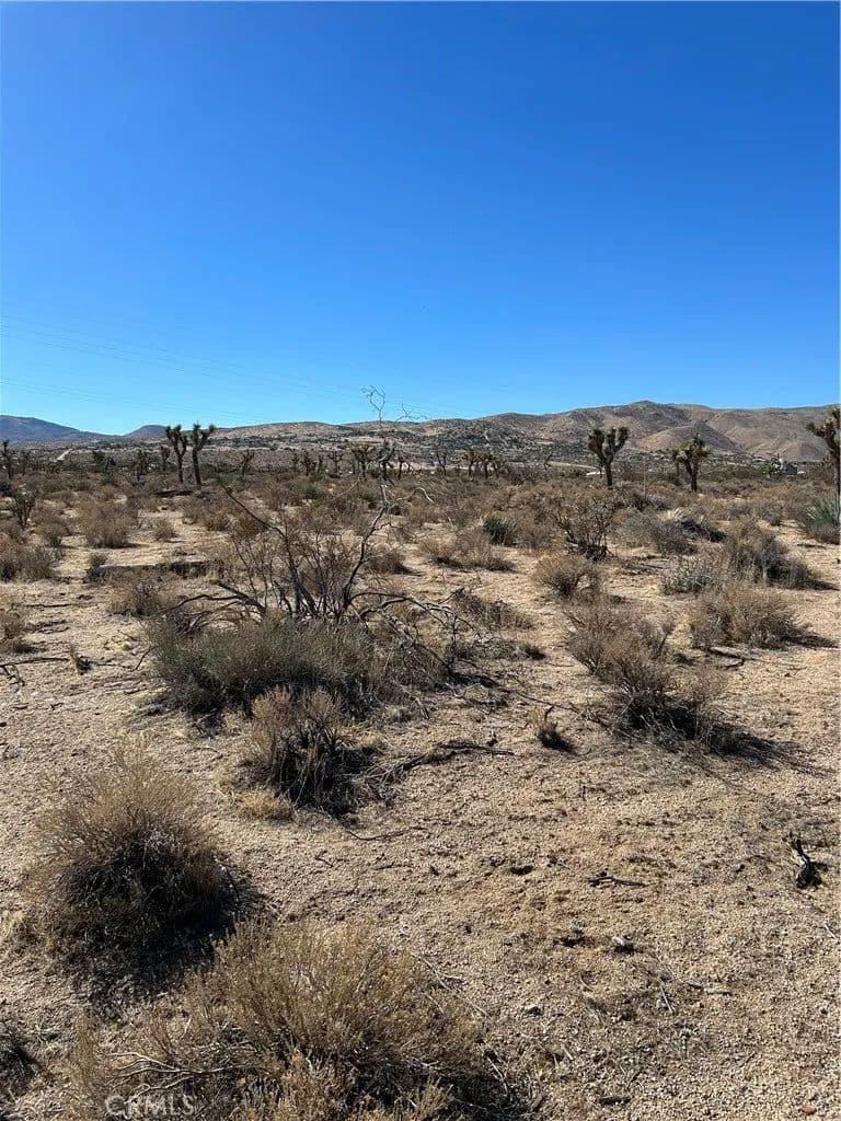 Vacant Land in Apple Valley - Apple Valley, California, 92308