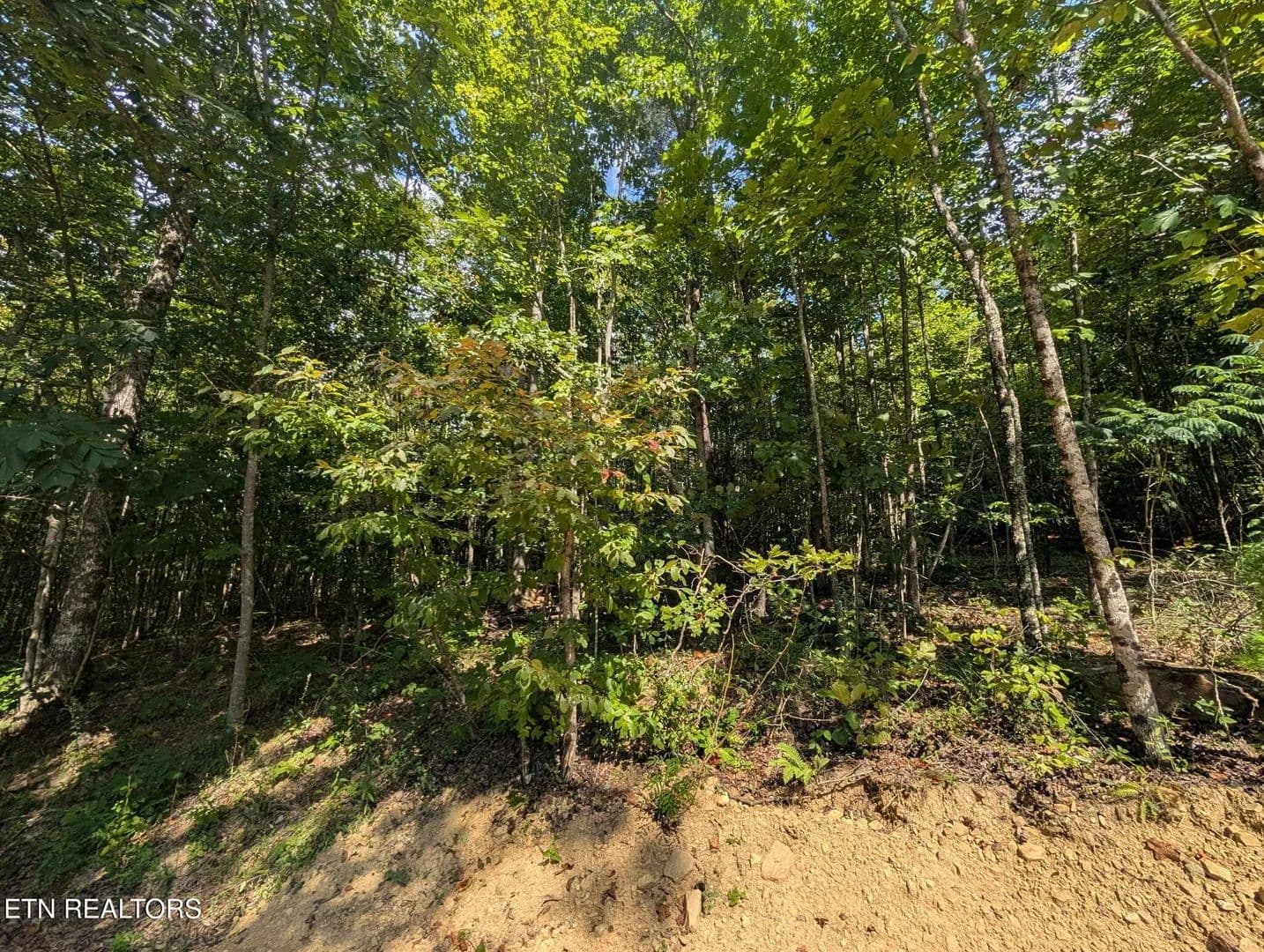 Lots & Land-Other in Crossville - Crossville, Tennessee, 38572