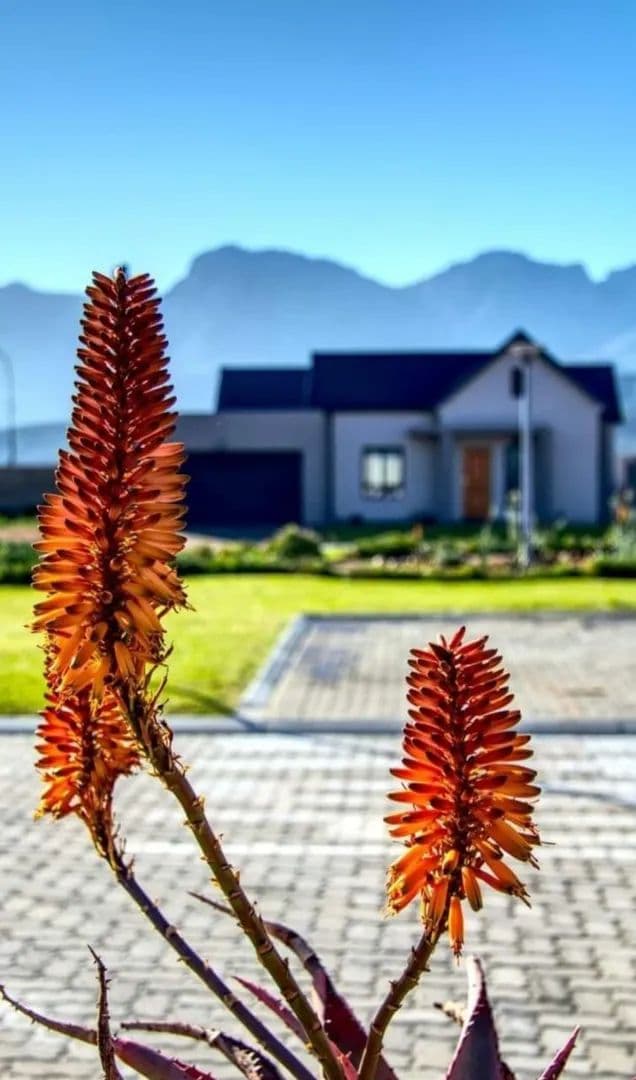 Land for Sale in Robertson, Western Cape - South Africa