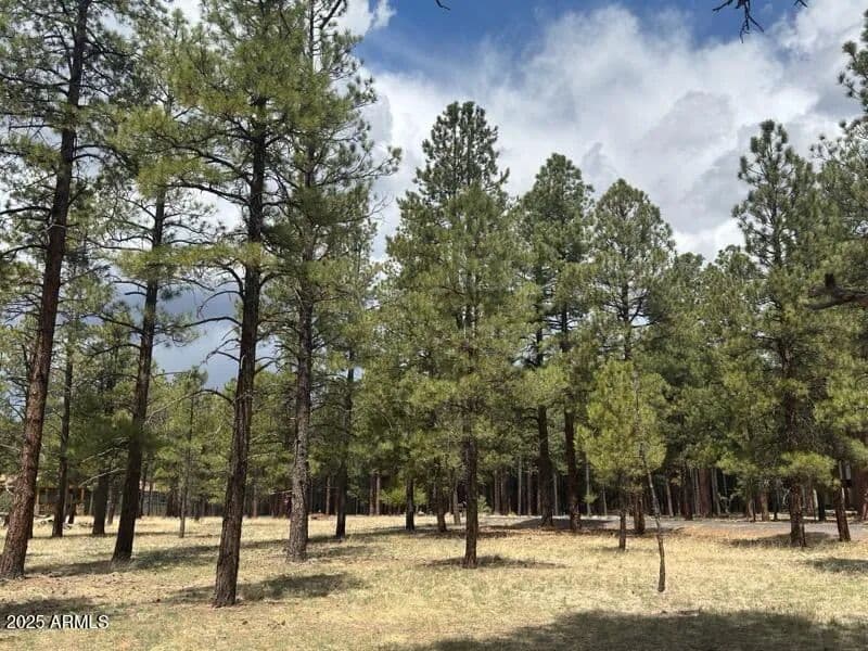 Property from Lot 1 Hattie Greene -- #1 - KW - Flagstaff, Arizona, 86001