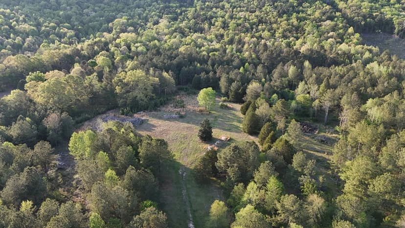 Owls Hollow Haven – 78 Acres