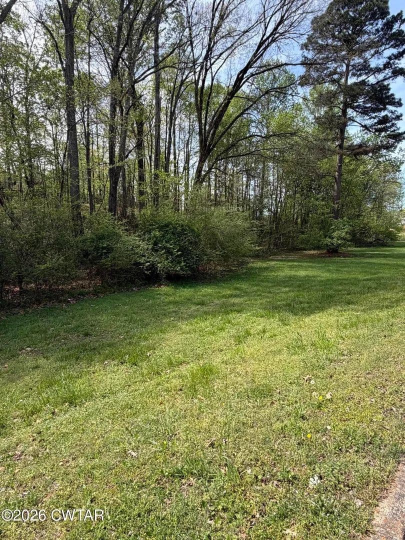 Lots & Land-Other in Lexington - Lexington, Tennessee, 38351