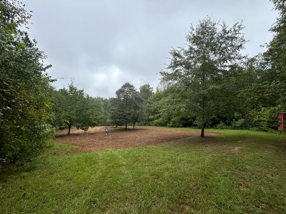 Turn-Key Hunting Property - Irwinton, Georgia, 31042