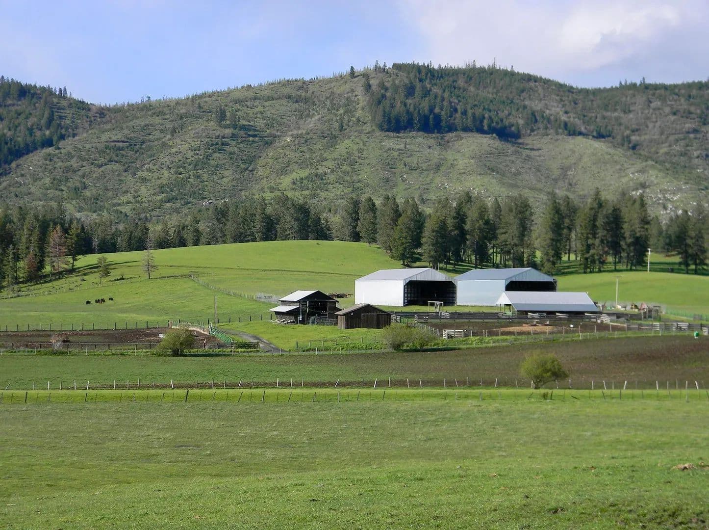 Park Ranch - Deary, Idaho, 83823