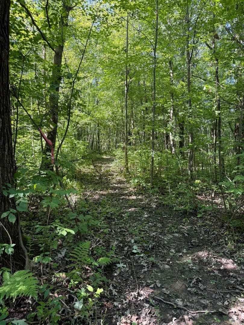 Vacant Land in Milaca - Milaca, Minnesota, 56353