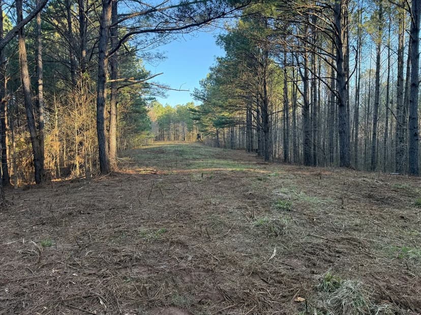 Hollins Hunting & Recreational Tract – 26.5± Acres