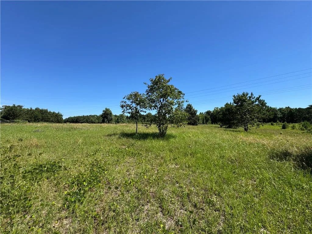 81 Acres of Land for Sale in Camp Hill, AL - land for sale