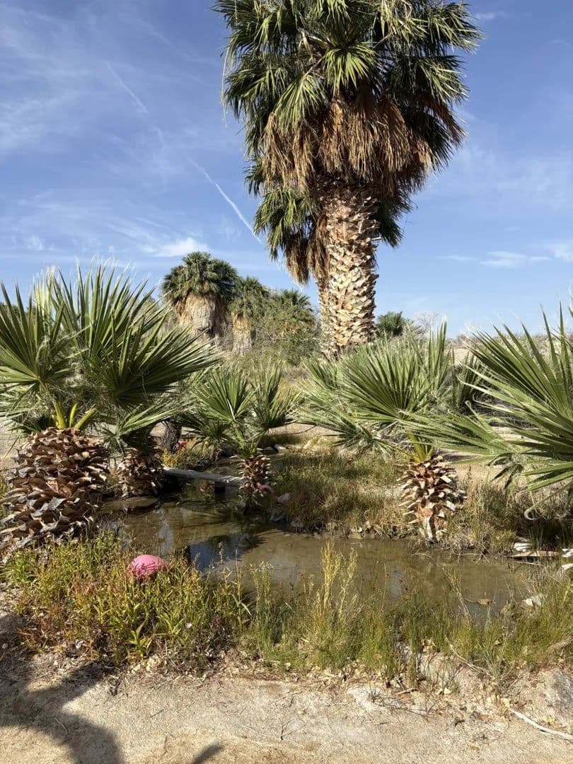 Land -Single Family Acreage in Bunkerville - Bunkerville, Nevada, 89007
