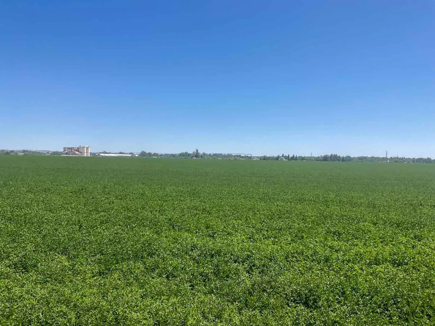 16th Street Farm - Wheatland, Wyoming, 82201