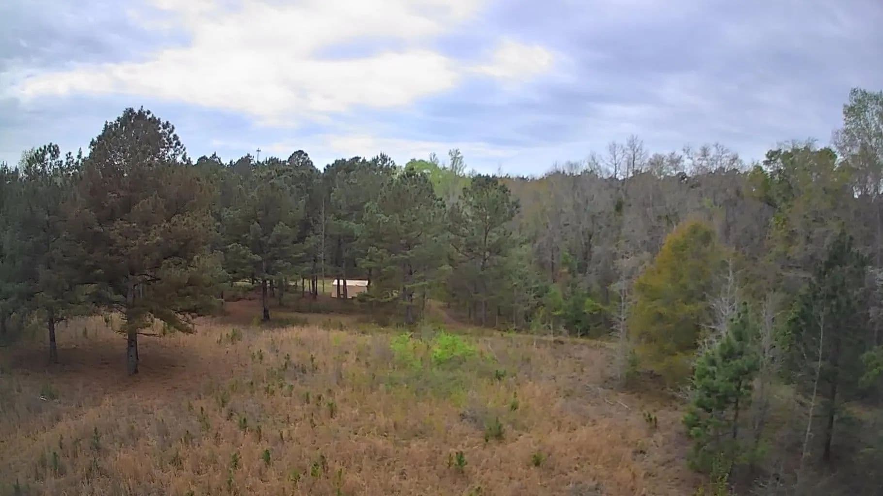 Vacant Land (10+ Acres) in Smoaks - Smoaks, South Carolina, 29481