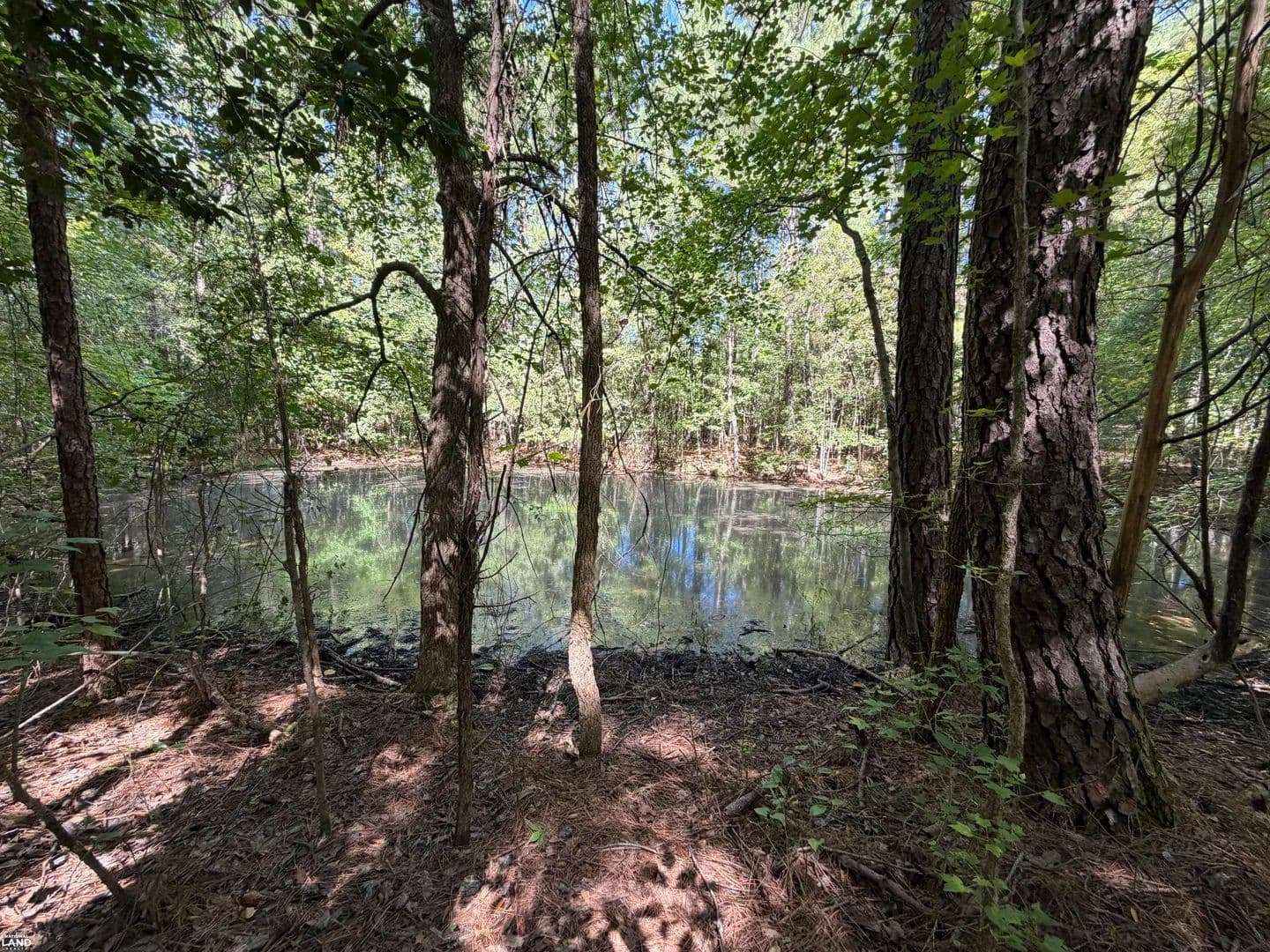 85.5ac Recreation/Timber Parcel with road frontage - Mckenney, Virginia, 23872