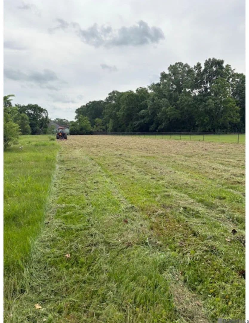 Vacant Land in Prairieville - Prairieville, Louisiana, 70769