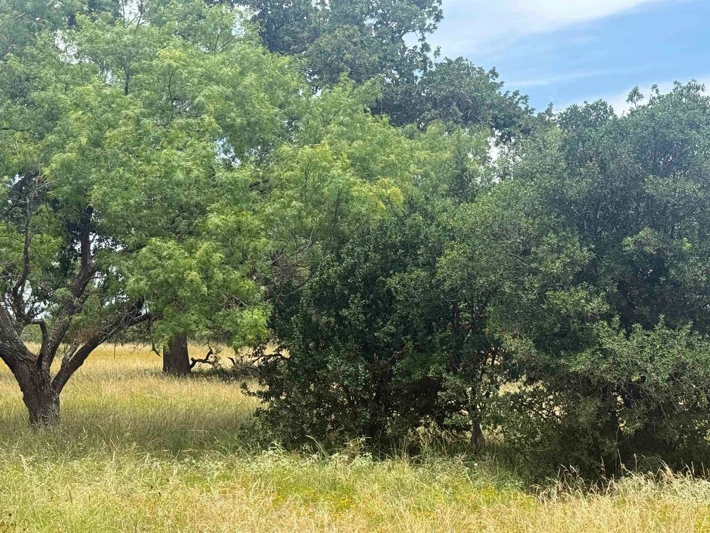 0.13 Acres of Land for Sale in Horseshoe Bay, Texas - Horseshoe Bay, Texas, 78657