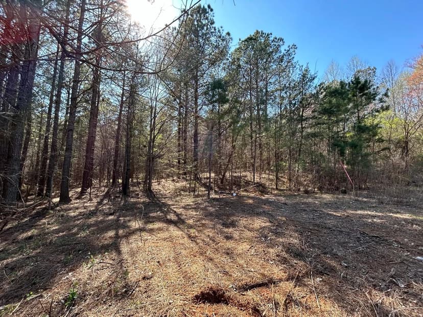 Property from Tract 12r County Road 782 - KW