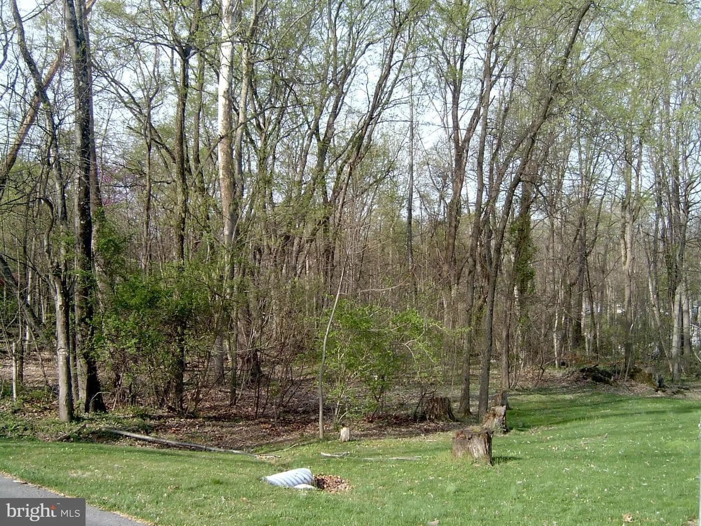 Lots & Land-Other in FALLING WATERS - Falling Waters, West Virginia, 25419