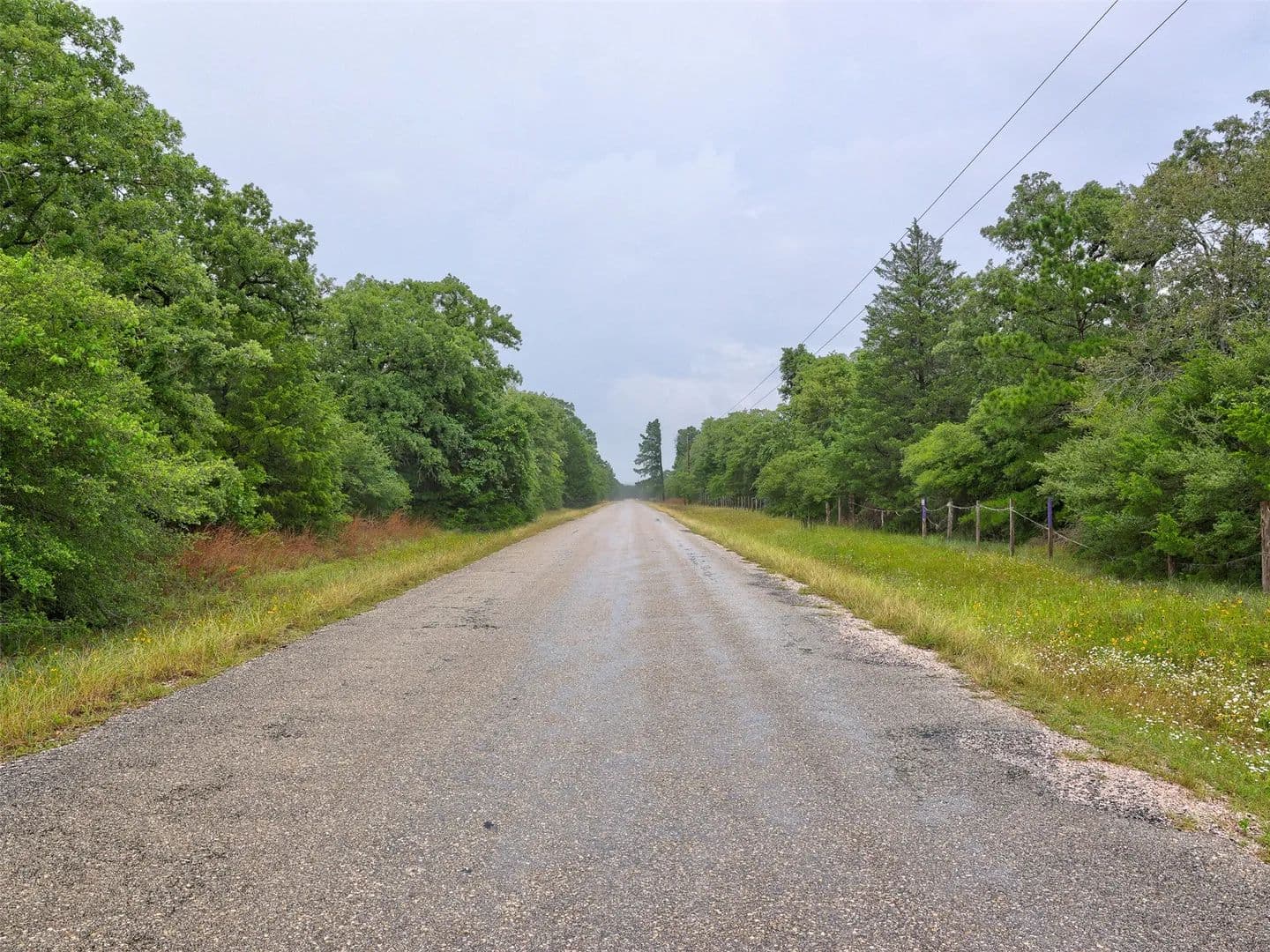10 Acres of Land for Sale in Lexington, Texas - Lexington, Texas, 78947