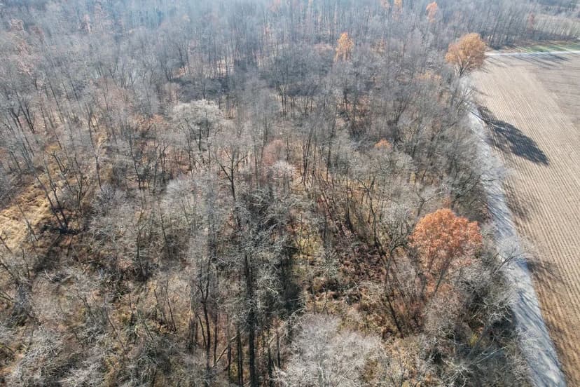 Tract 4 CR 1200 N Brazil