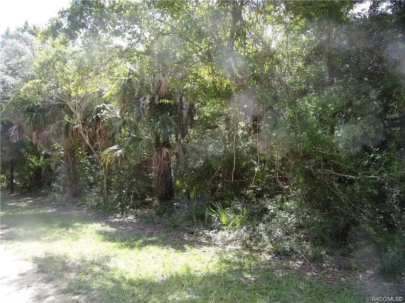 Land -Single Family Acreage in Inglis