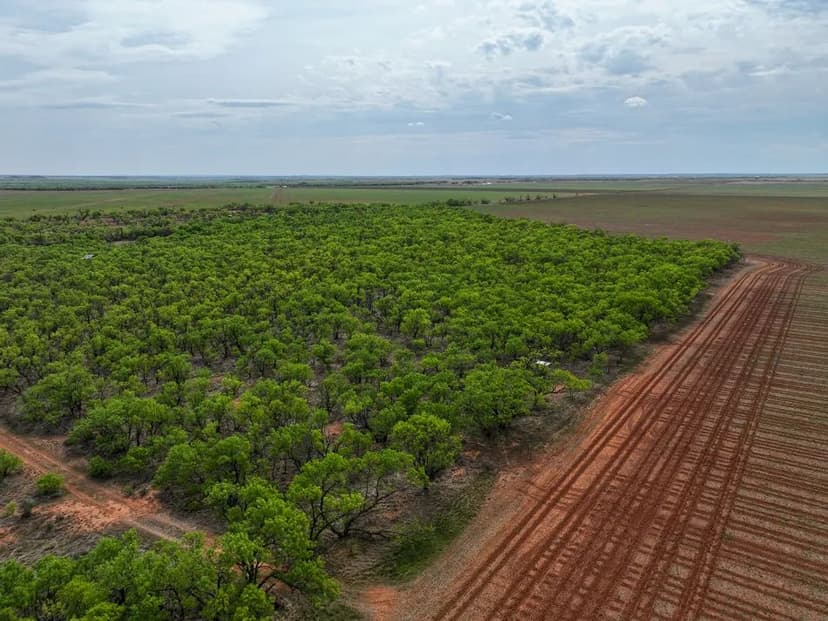 Under Contract - 171+/- Acres, TBD CR 134, Old Glory